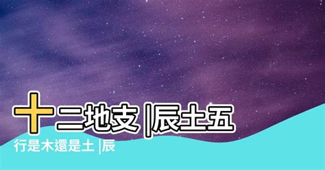 屬土需要什麼|【土 屬性】五行屬土之人：深入解析性格、運勢及命。